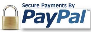 pay-through-paypal